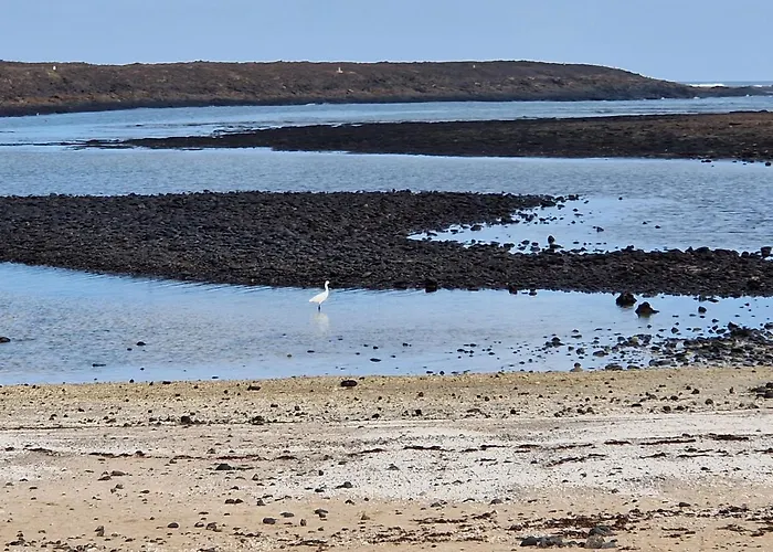 Ocean View לאחארס